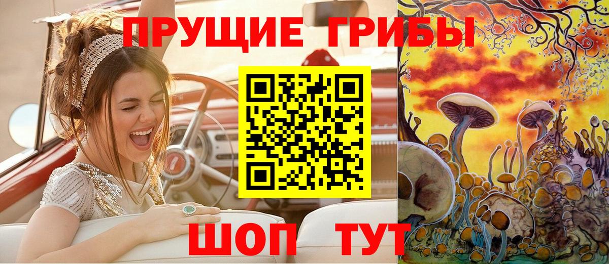 Псилоцибиновые грибы Psilocybe Нижнекамск