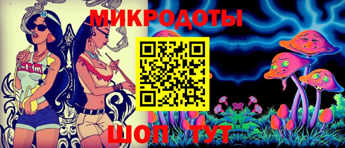 Псилоцибиновые грибы Psilocybe  Вход с VPN  Нижнекамск 